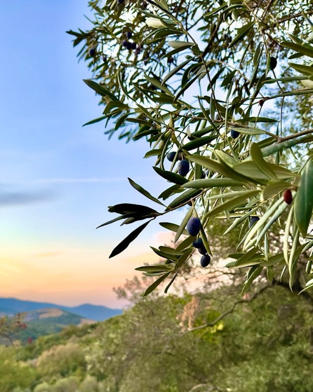 Πώς χρησιμοποιείται